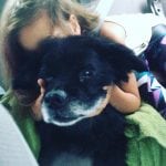 a dog name miss jojo