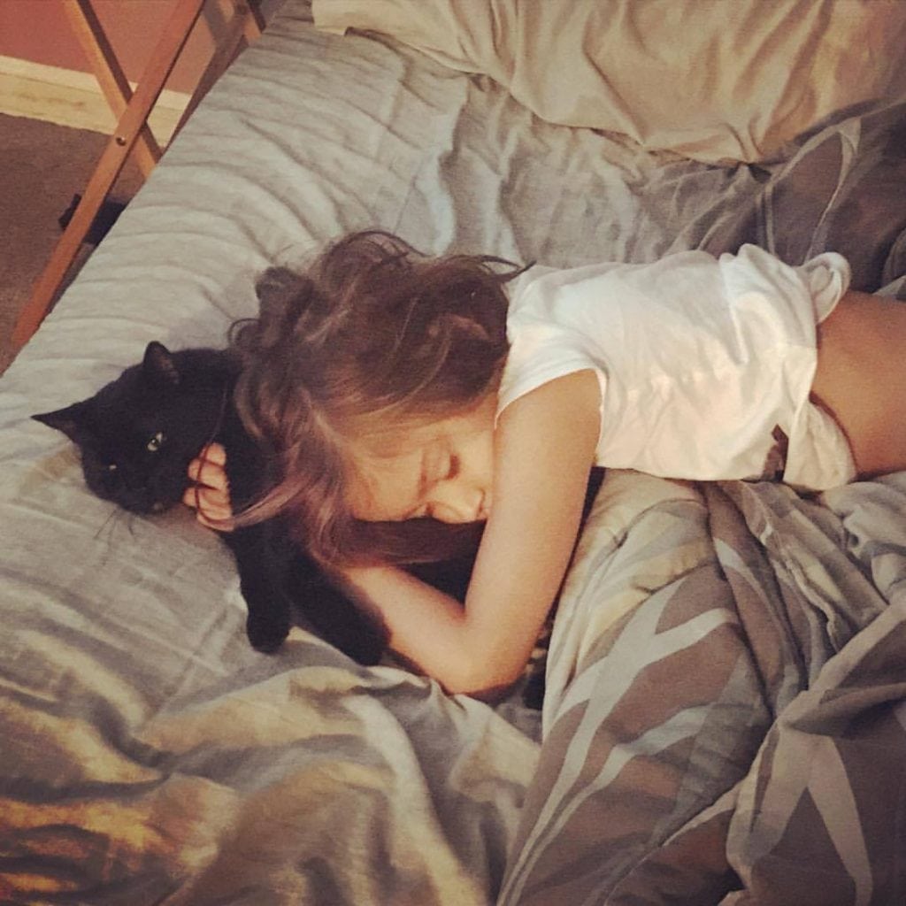 a cat name abby